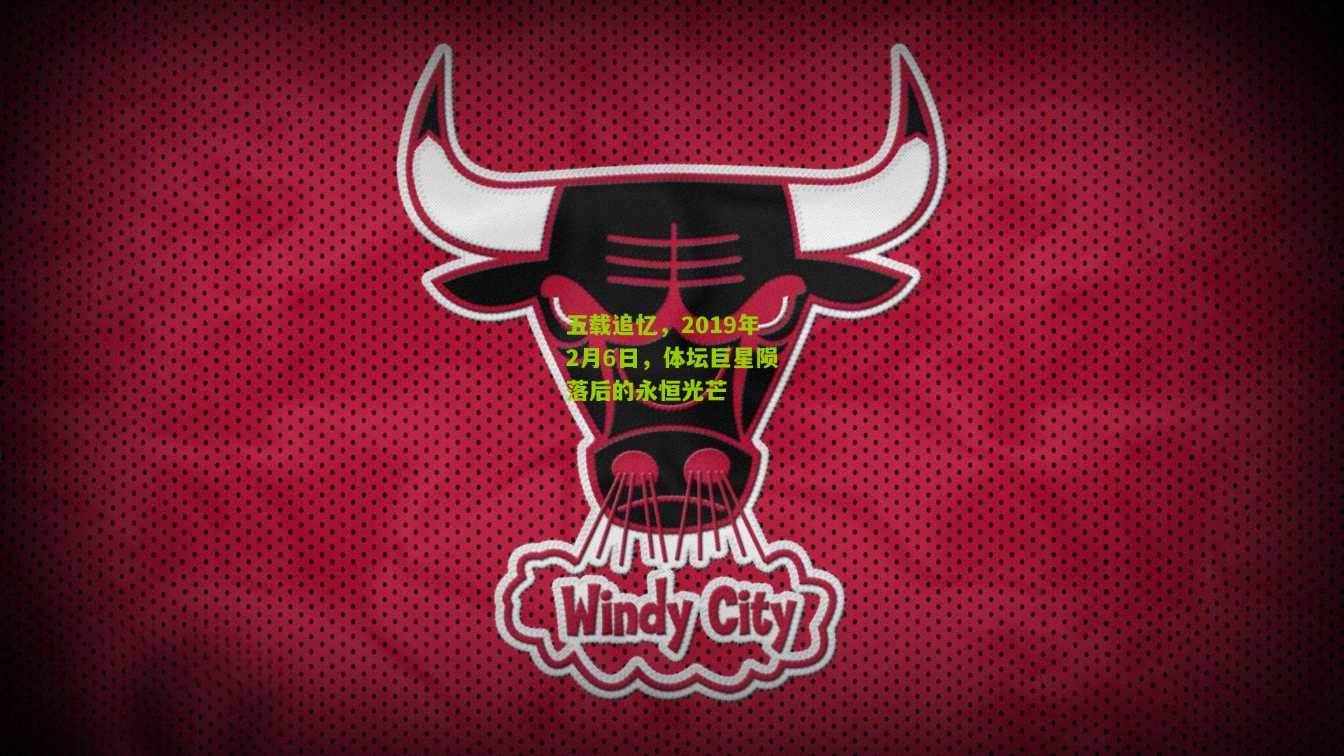 五载追忆,2019年2月6日,体坛巨星陨落后的永恒光芒